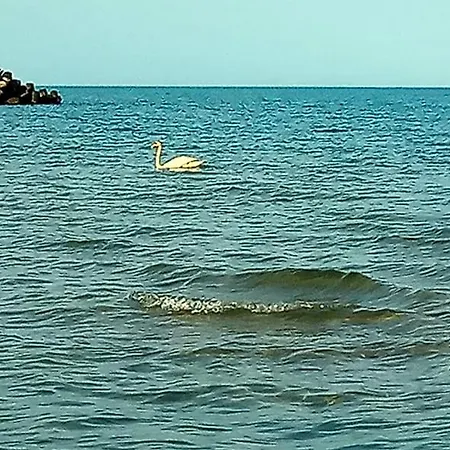 Sveti Toma -private Sozopol